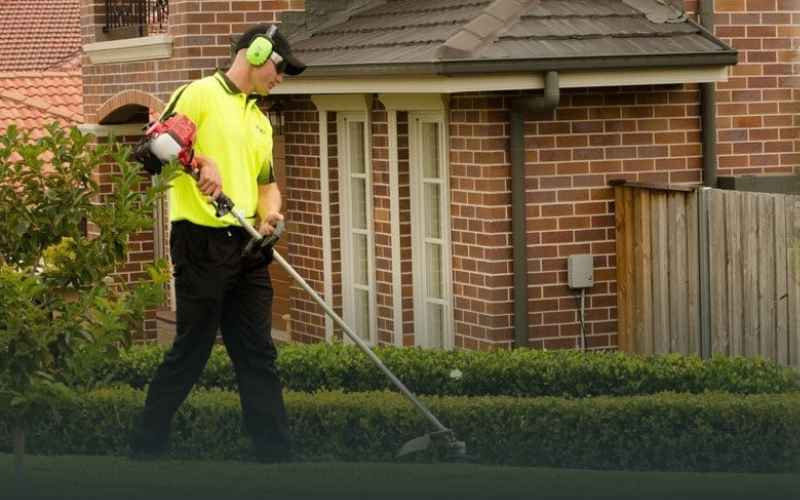 Local Experts
